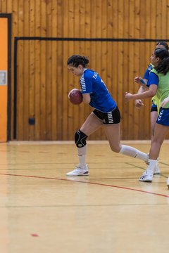 Bild 88 - wBJ TSV Ellerau - HSG Stoertal Hummeln : Ergebnis: 26:19
